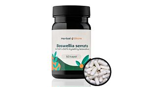 Boswellia serrata kapsle - extrakt s 65% kyseliny boswellové